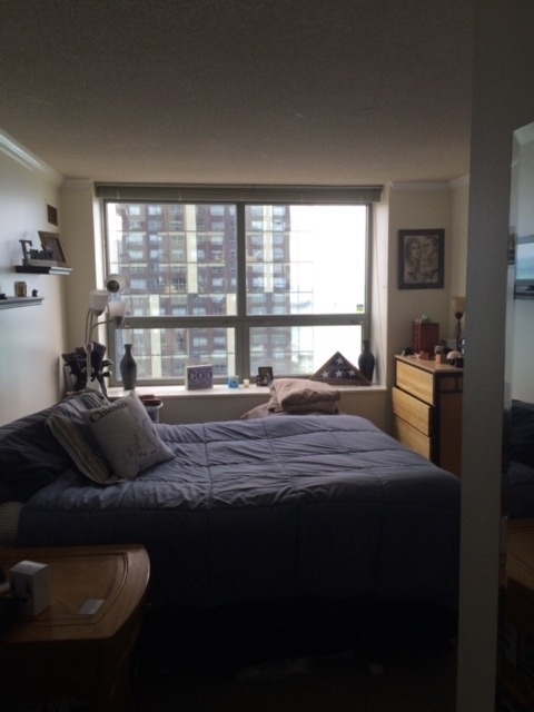 474 N Lake Shore Drive - Photo 1