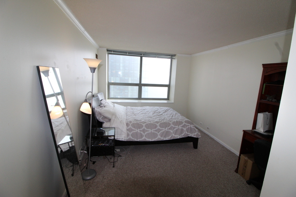 474 N Lake Shore Drive - Photo 7