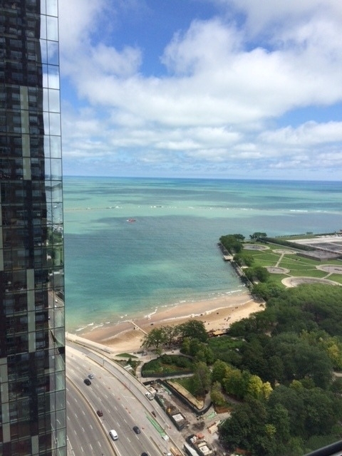 474 N Lake Shore Drive - Photo 13