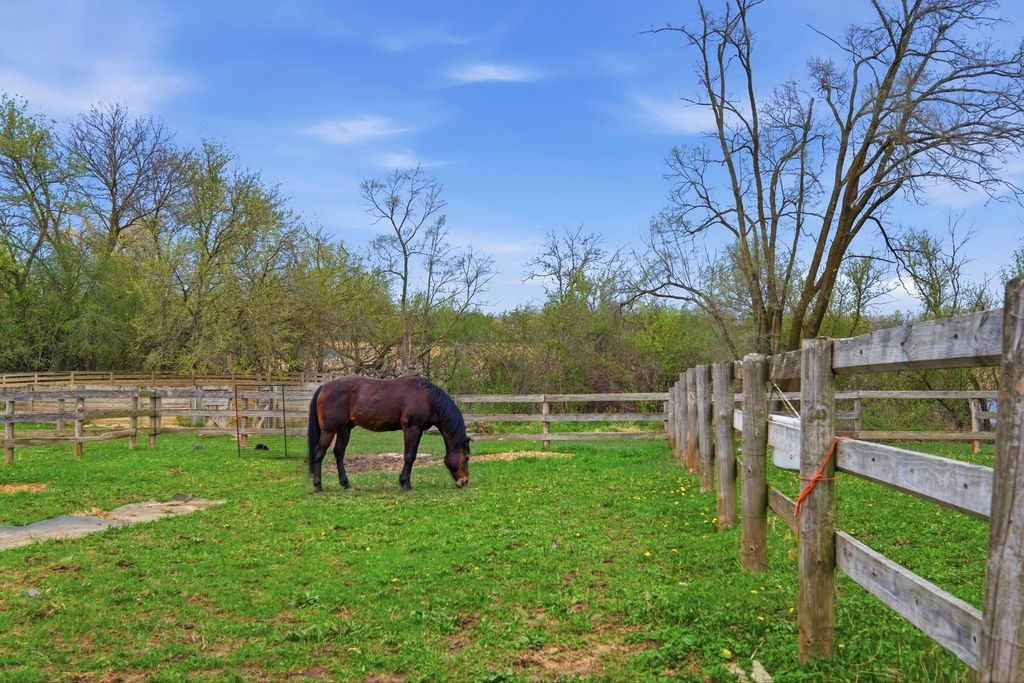 25848 W Scott Road - Photo 10