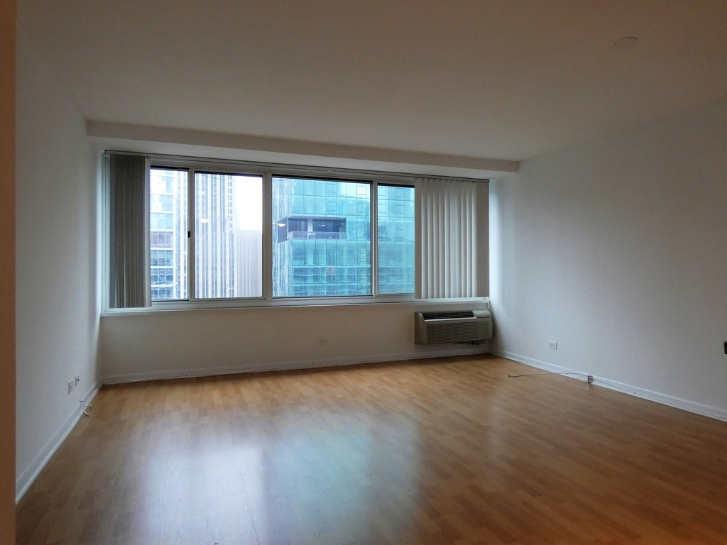 211 E Ohio Street - Photo 7