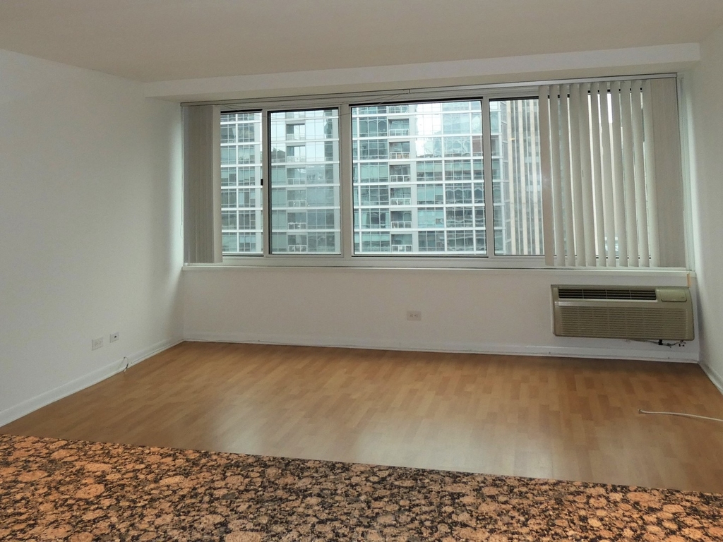 211 E Ohio Street - Photo 8