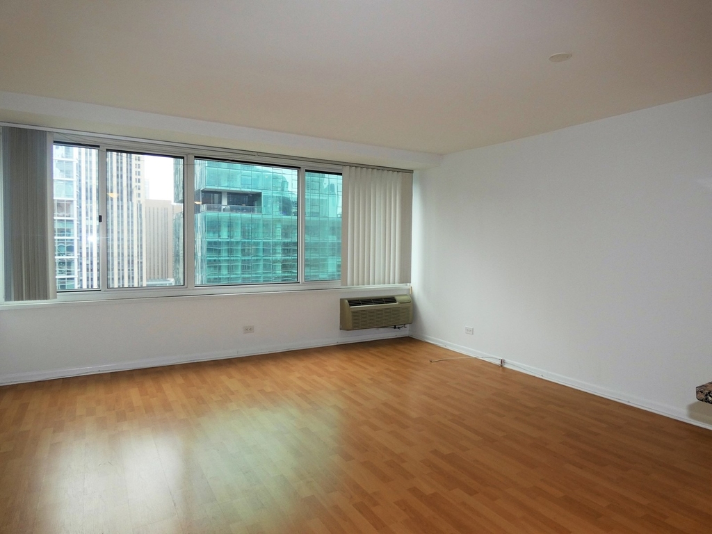 211 E Ohio Street - Photo 10