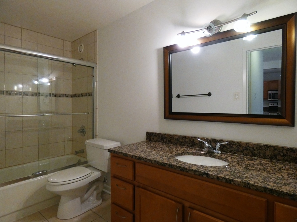 211 E Ohio Street - Photo 12