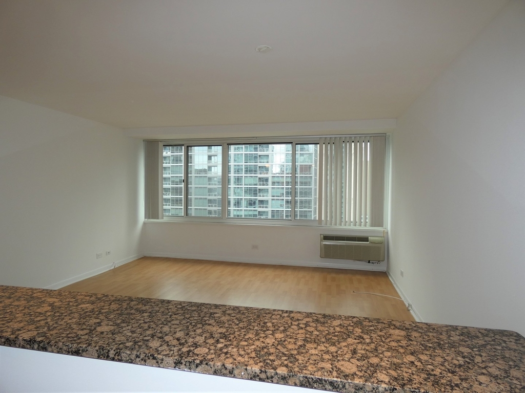 211 E Ohio Street - Photo 11