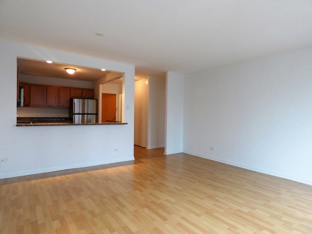211 E Ohio Street - Photo 6