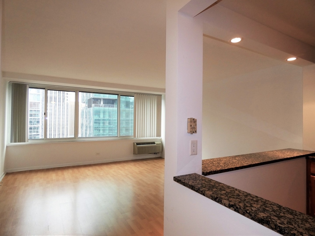 211 E Ohio Street - Photo 9