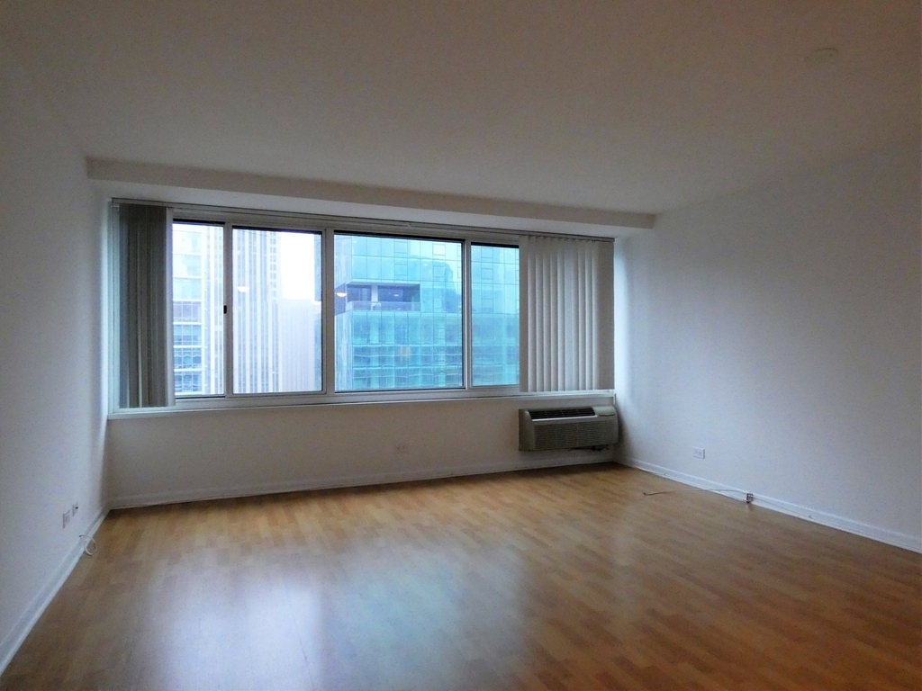 211 E Ohio Street - Photo 4