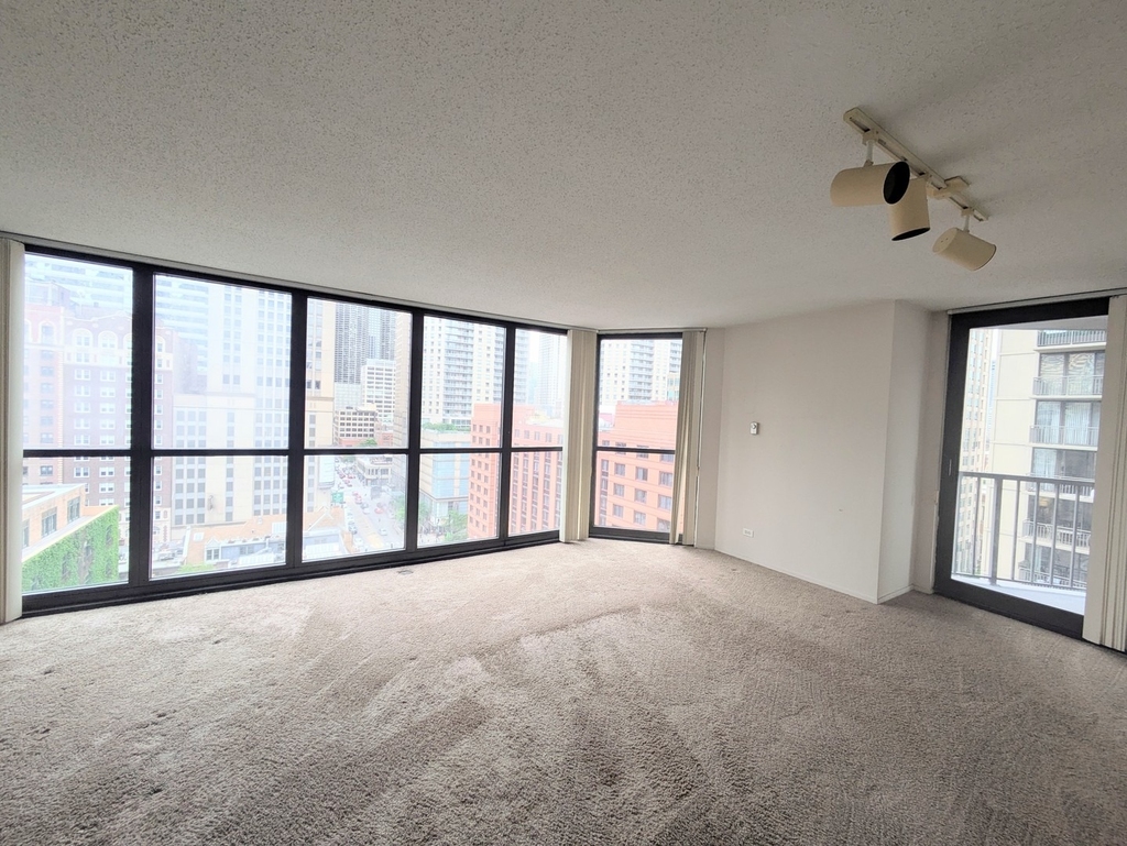10 E Ontario Street - Photo 1