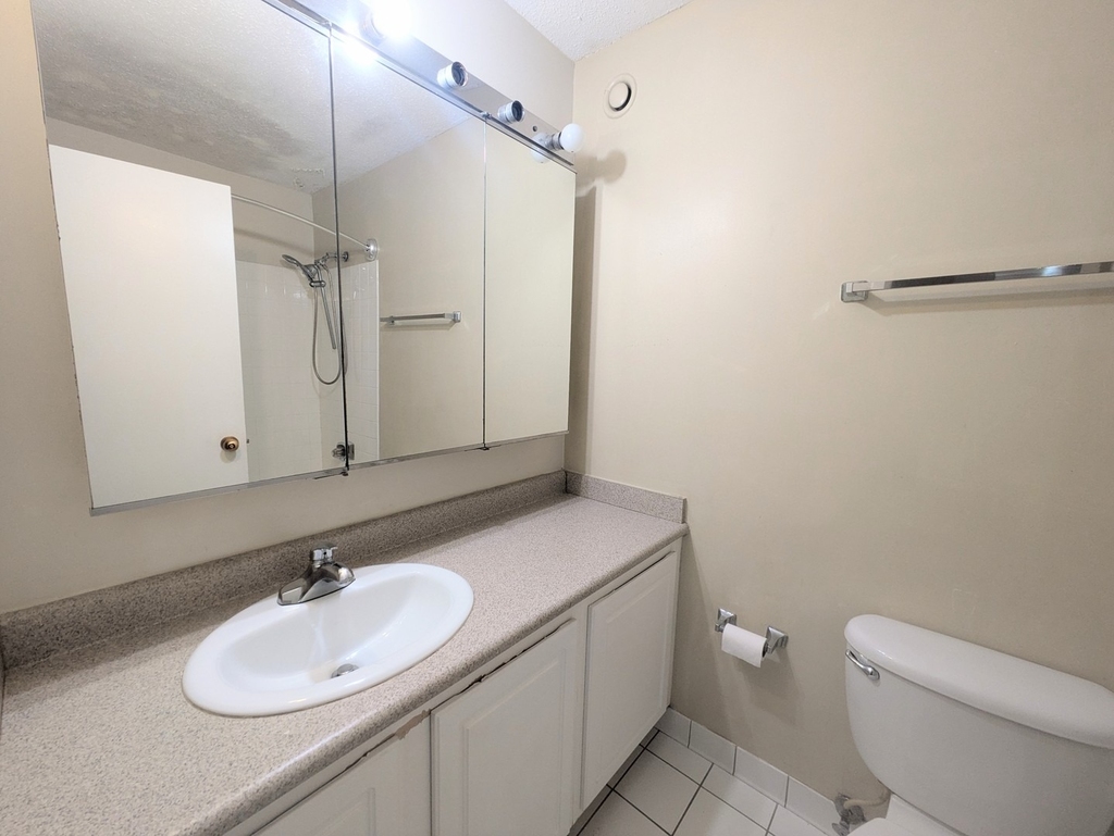 10 E Ontario Street - Photo 9