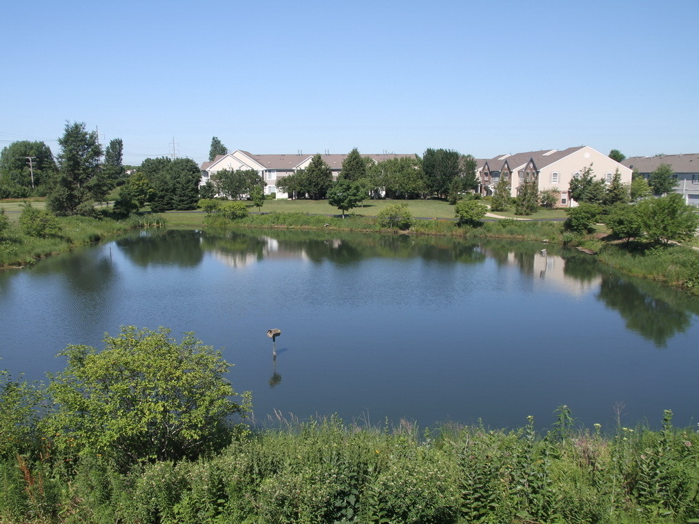 207 Springbrook Trail S - Photo 13