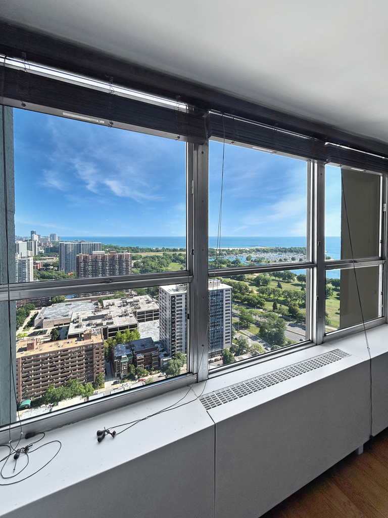 655 W Irving Park Road - Photo 8