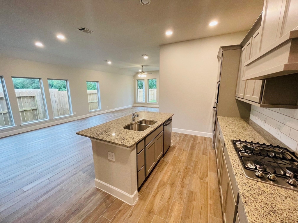 19119 Friesian Stallion Lane - Photo 4