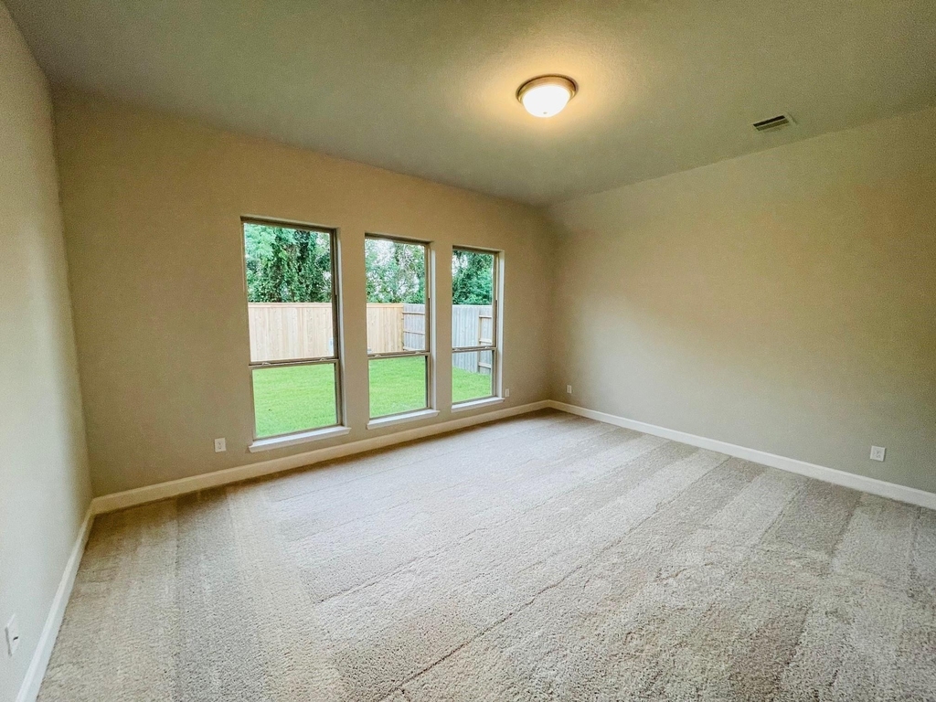19119 Friesian Stallion Lane - Photo 6