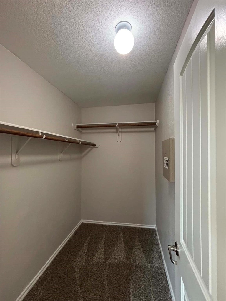 1707 Hickory Burl Lane - Photo 12