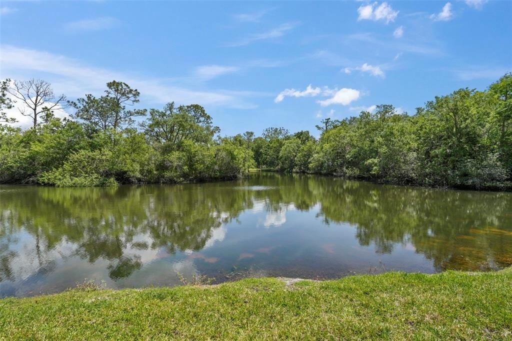 1200 Tarpon Woods Boulevard - Photo 26