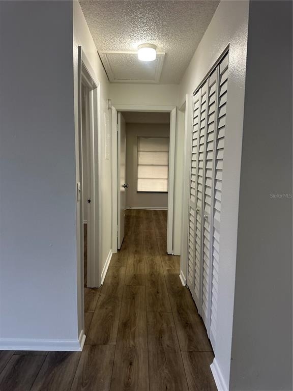 8428 Camden Street - Photo 4