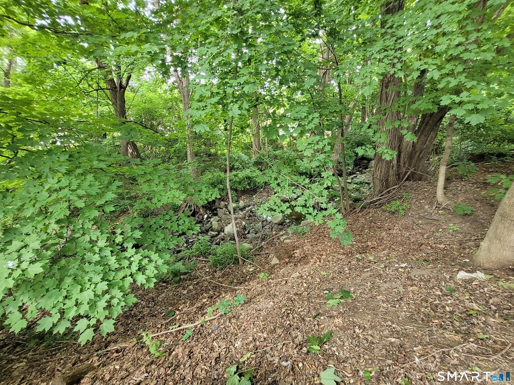 24 Macarthur Court - Photo 17