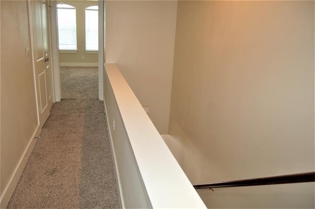 213 Lily Lane - Photo 30