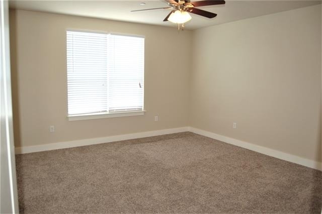 213 Lily Lane - Photo 16