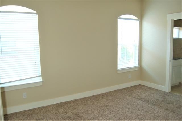 213 Lily Lane - Photo 22