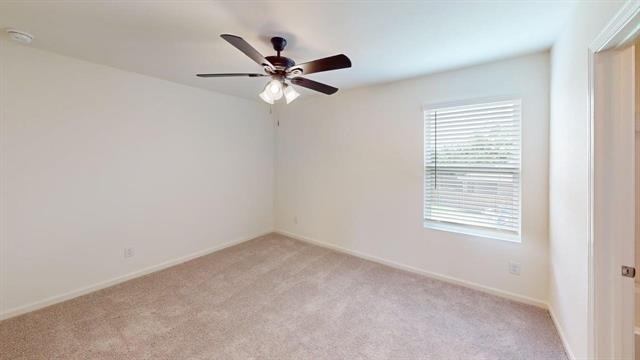 4529 Wood Fern Road - Photo 11