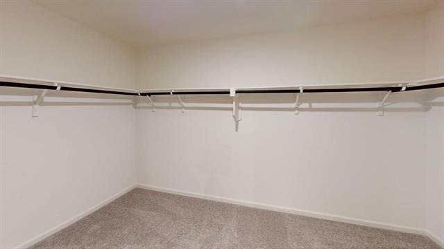 4529 Wood Fern Road - Photo 23
