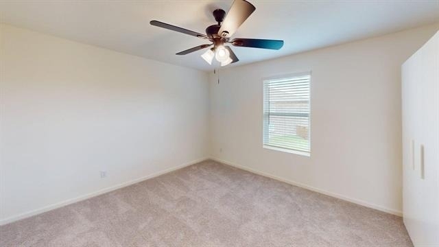 4529 Wood Fern Road - Photo 17