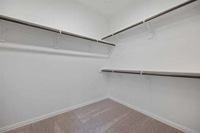 3513 Sunflower Street - Photo 13