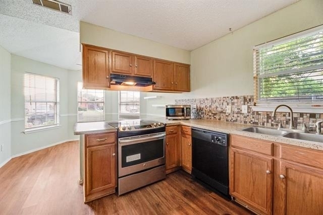 6703 Dusty Ridge Trail - Photo 5