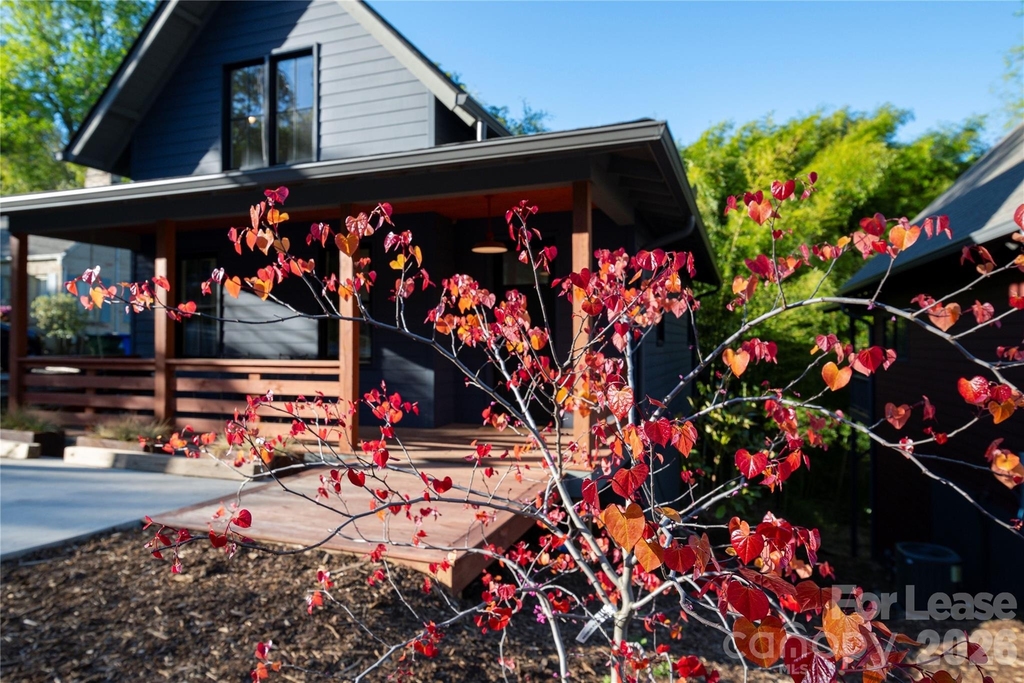 12 Waverly Road - Photo 19