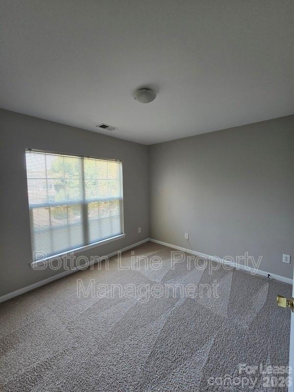 8630 Carolina Lily Lane - Photo 20