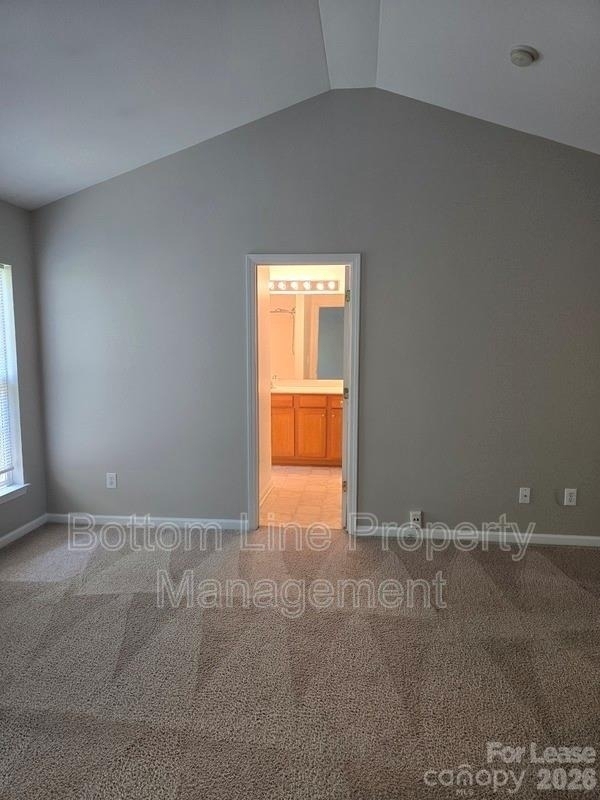 8630 Carolina Lily Lane - Photo 33