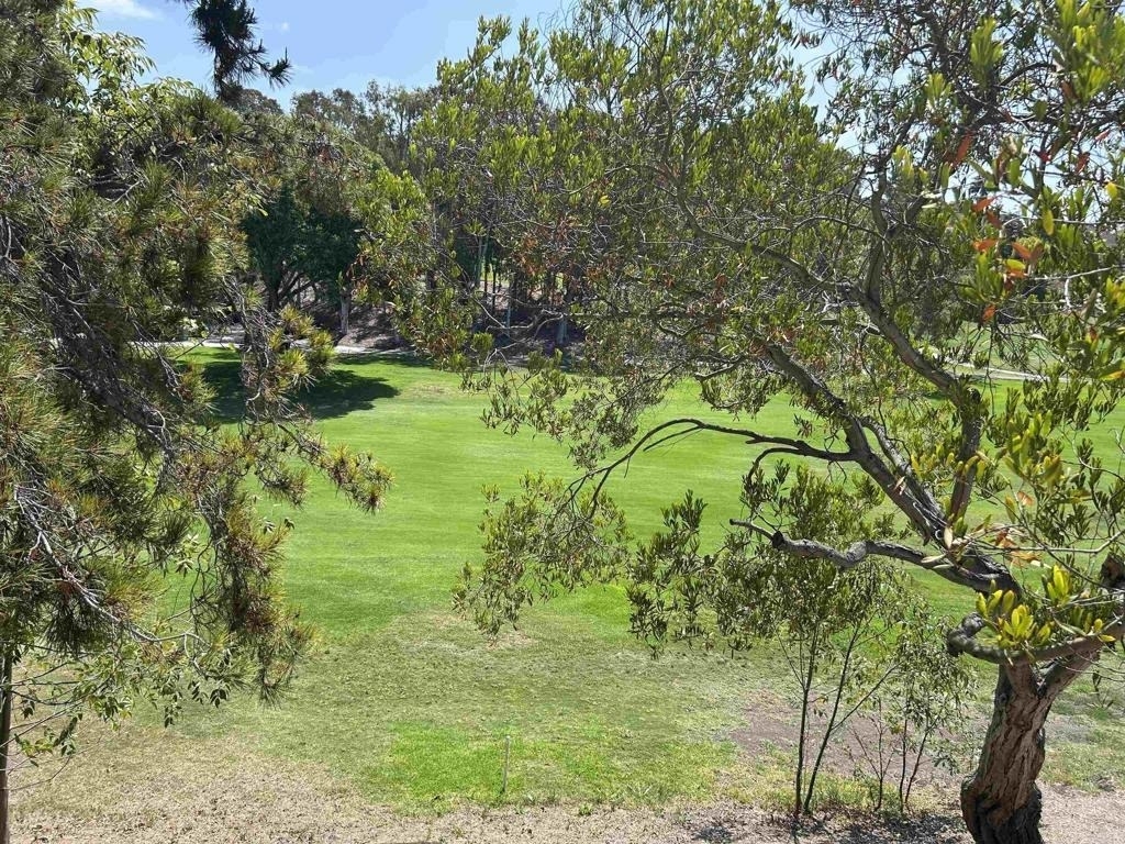 2162 Palmer Drive - Photo 16