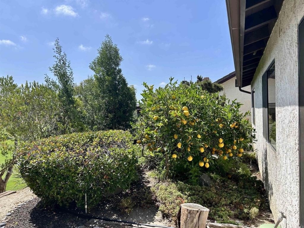 2162 Palmer Drive - Photo 13
