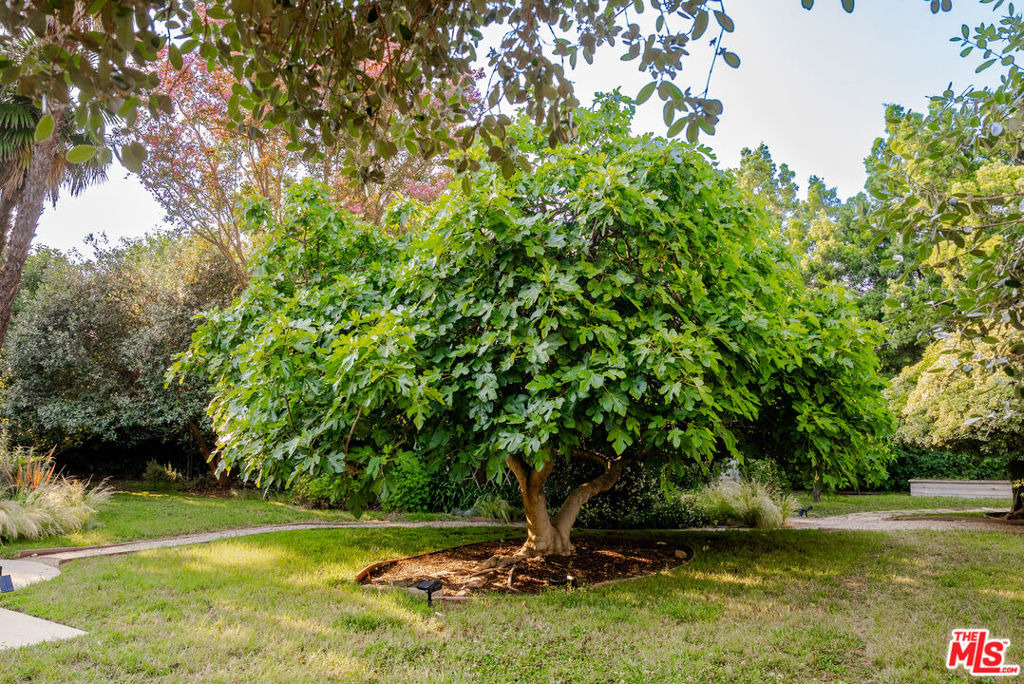 17401 Londelius Street - Photo 15