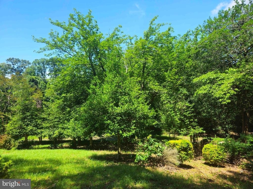 159 Olde Concord Road - Photo 60