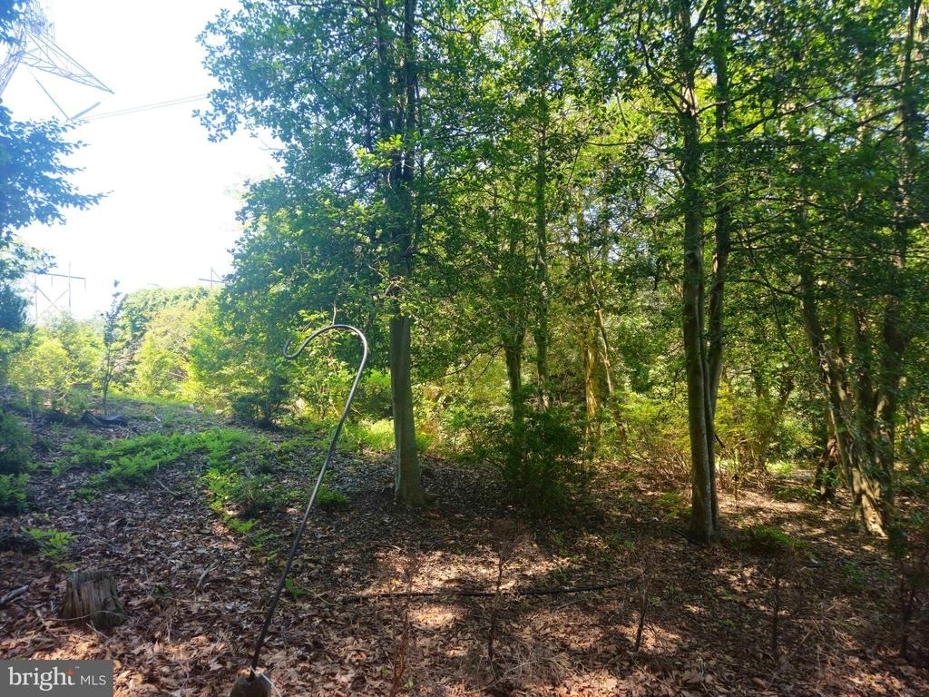 159 Olde Concord Road - Photo 61