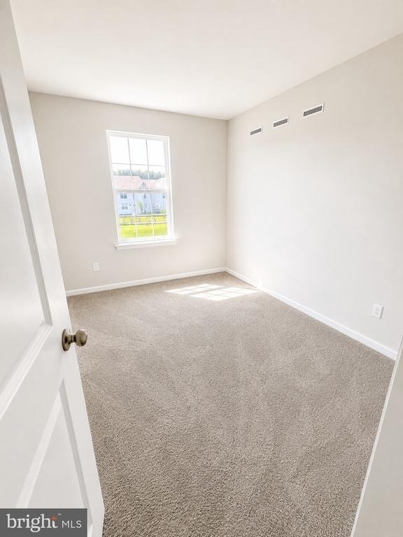 344 Mazzeo Drive - Photo 13