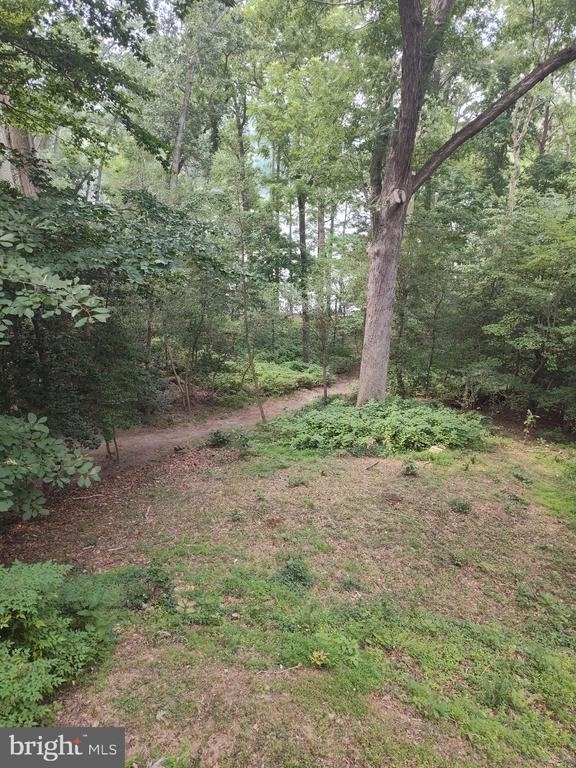 43925 Drum Cliff Road - Photo 12