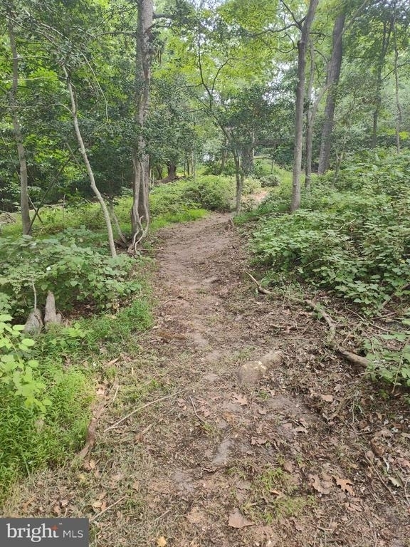 43925 Drum Cliff Road - Photo 14