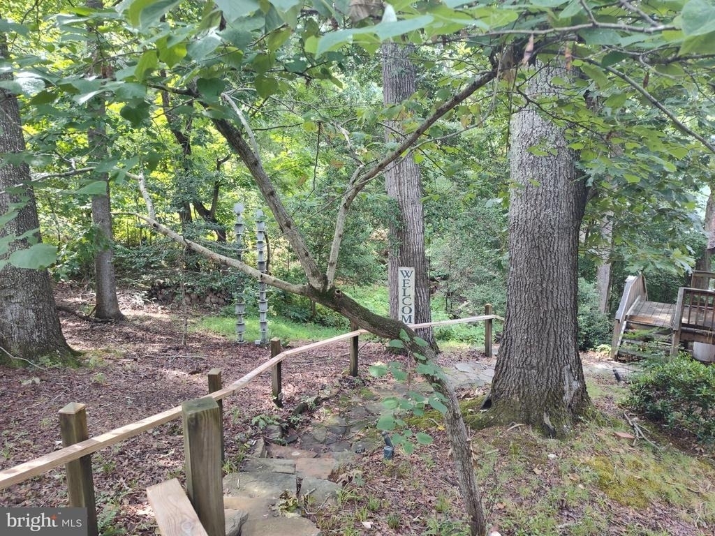 43925 Drum Cliff Road - Photo 2