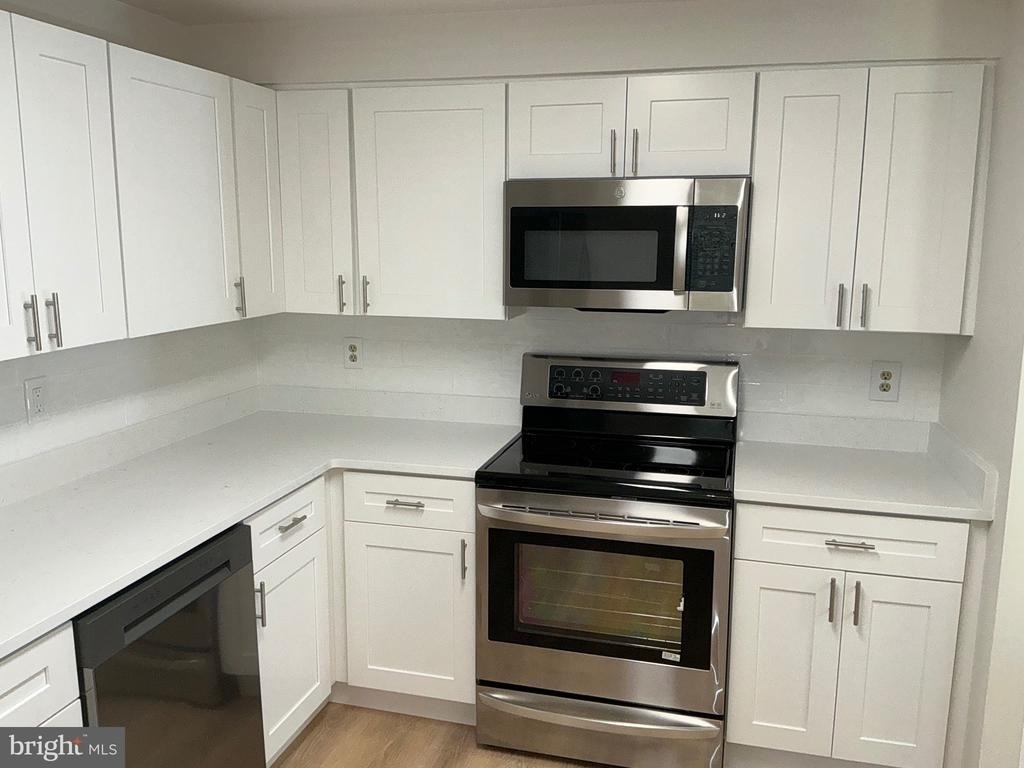 10602 Chisholm Landing Terrace - Photo 3