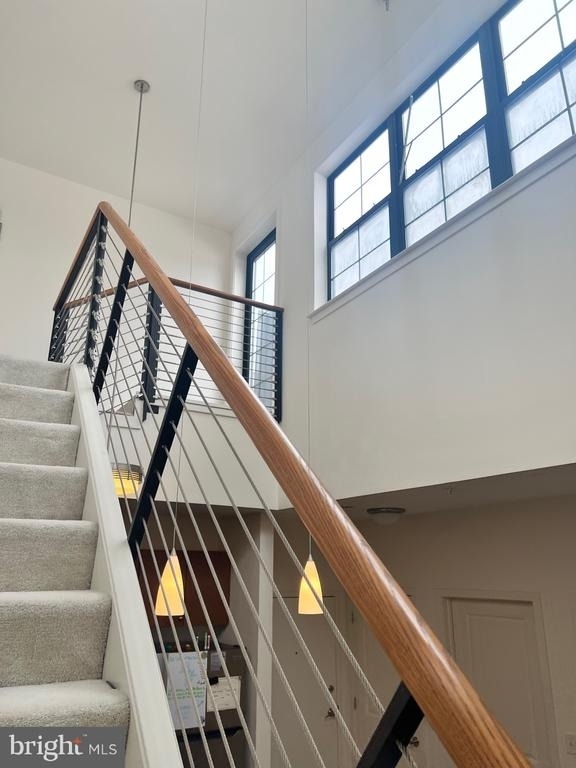 3201 Saint Paul Street - Photo 8
