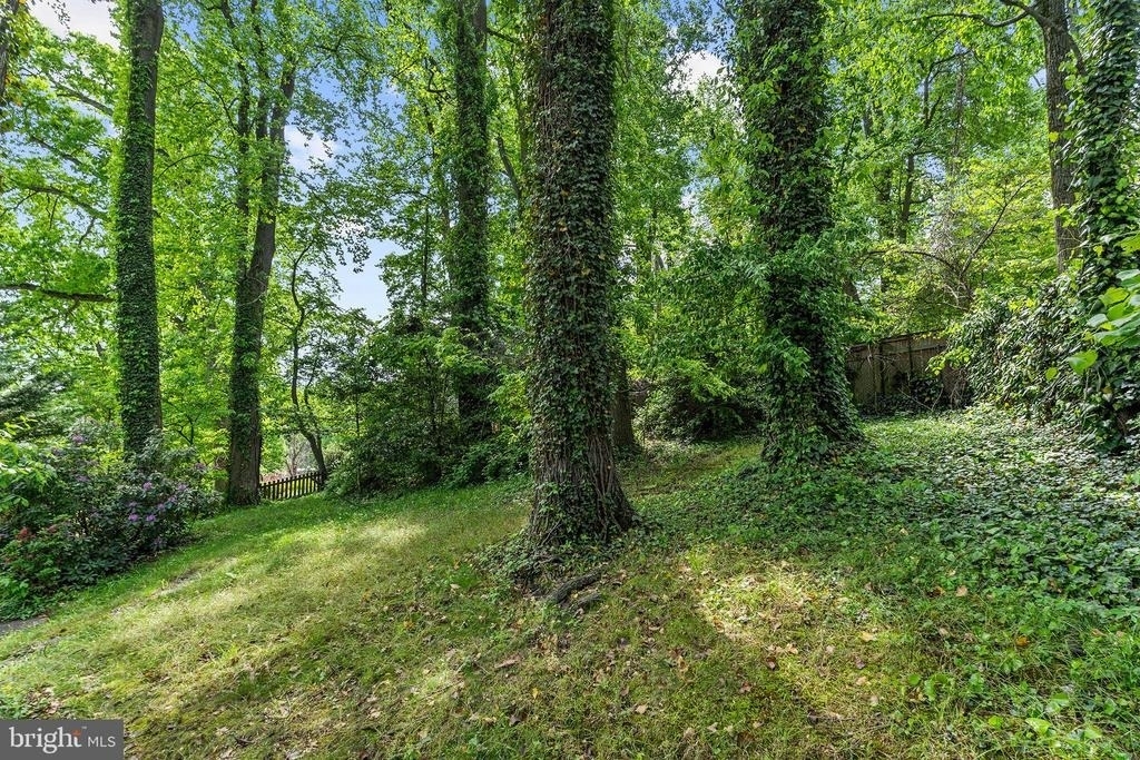 4530 Dexter Street Nw - Photo 42