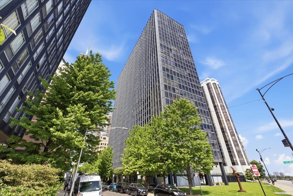 900 N Lake Shore Drive - Photo 0