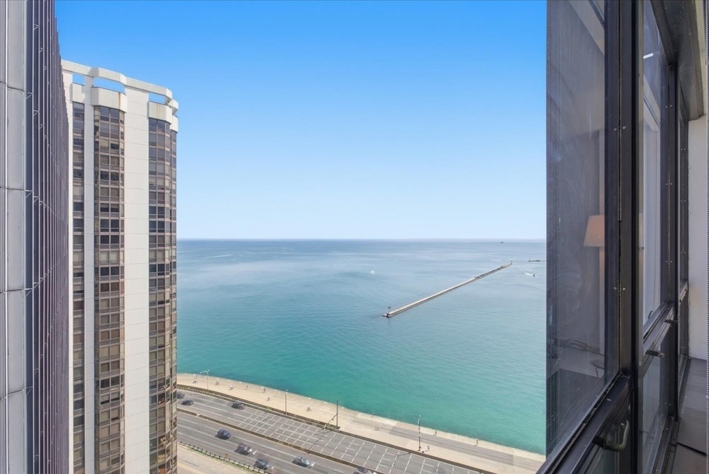 900 N Lake Shore Drive - Photo 10