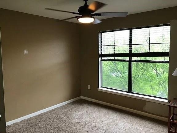 211 North Avenue - Photo 4