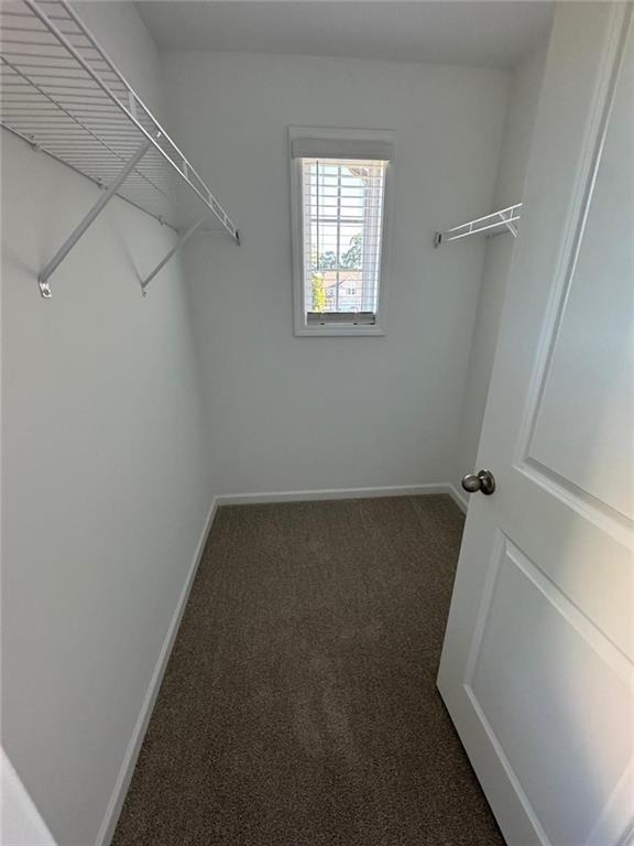30 Everly Way - Photo 20