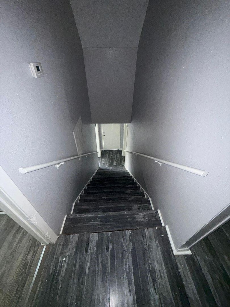 3012 Live Oak Street - Photo 6